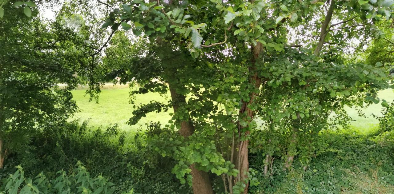 Gemuetliches Ferienhaus "An Der Schilde" In Renzow Bagian luar foto
