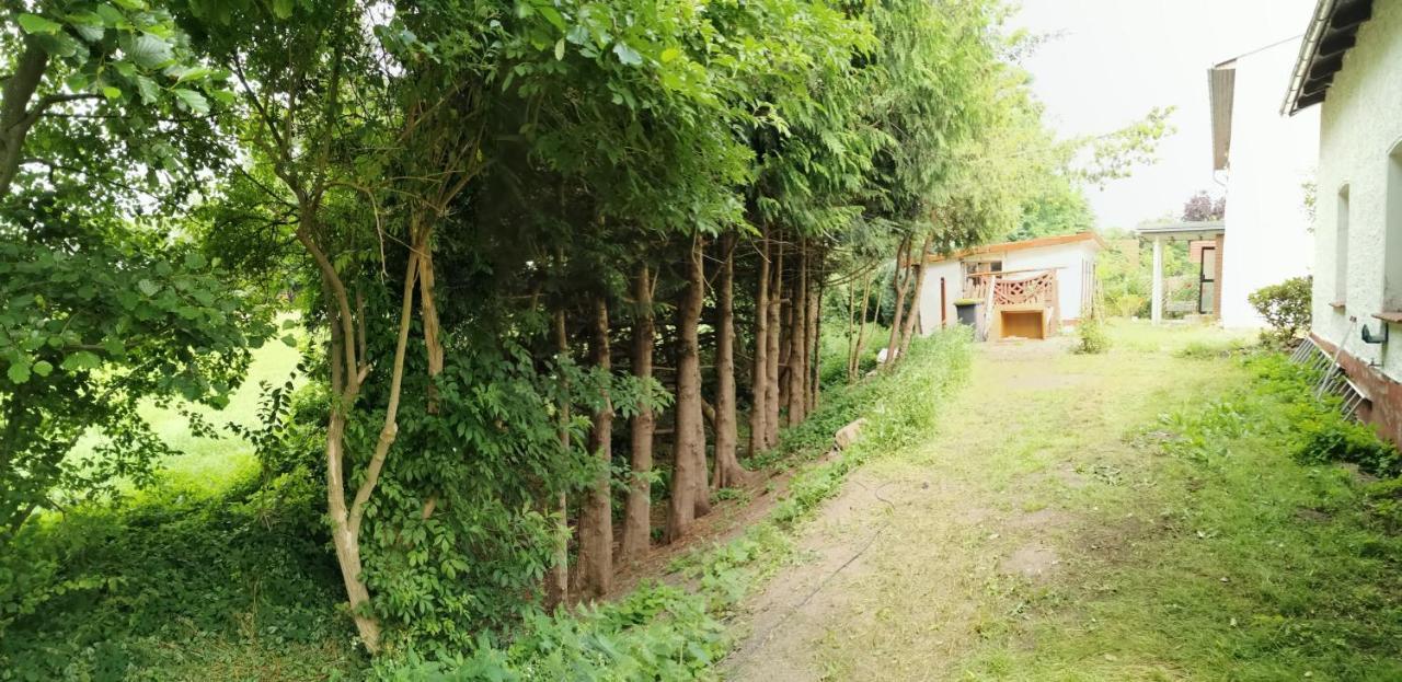 Gemuetliches Ferienhaus "An Der Schilde" In Renzow Bagian luar foto